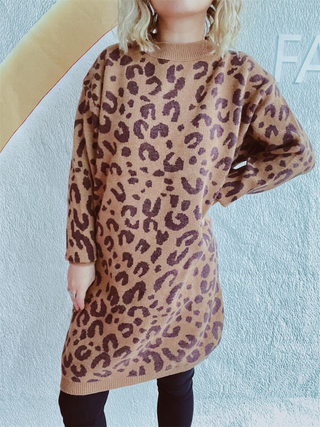 Leopard Round Neck Long Sleeve Sweater